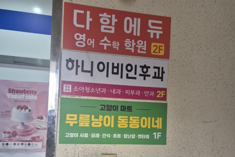 동동이네 이미지