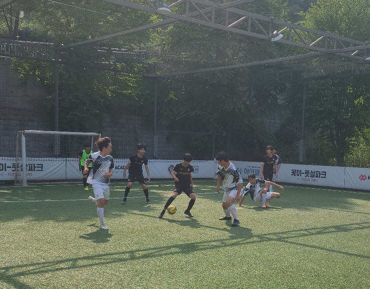 라이온즈스포츠클럽 이미지
