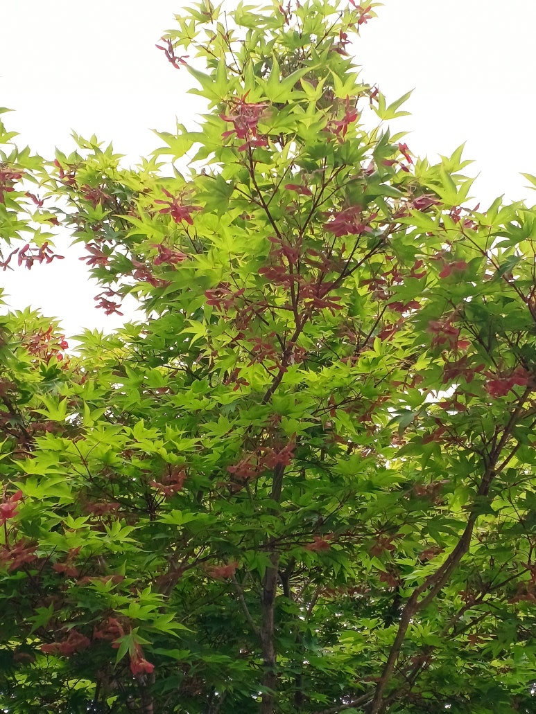 지에스25문경가은 이미지
