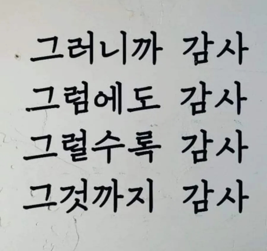 삼백육십오 이미지