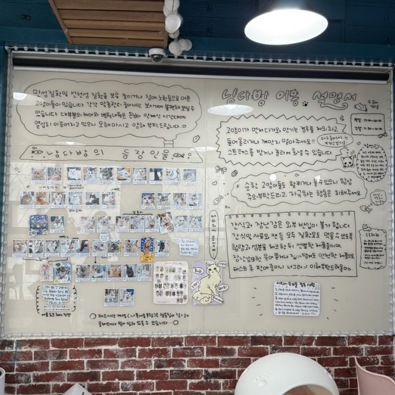 냥다방 이미지