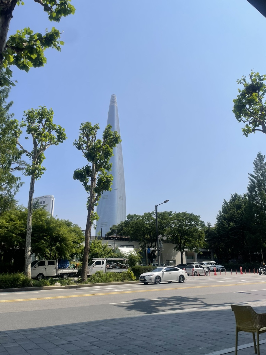 채채블랑 이미지