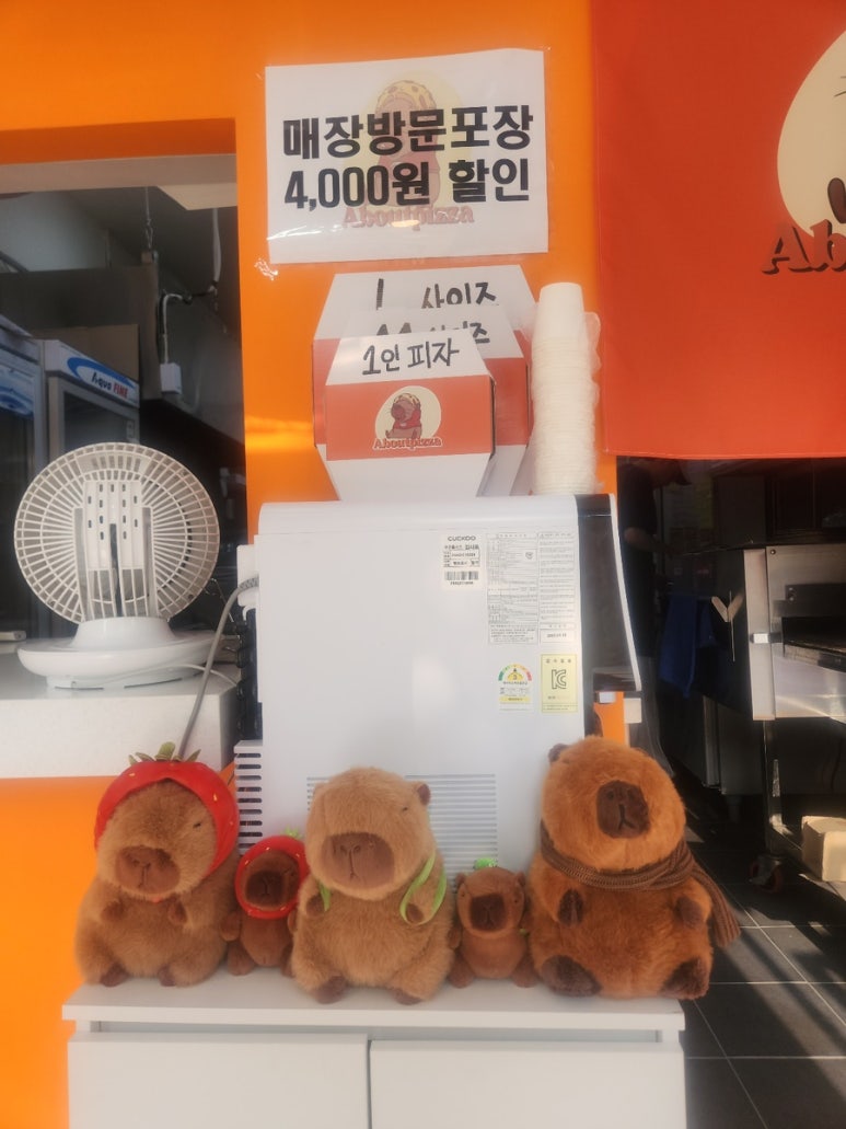 어바웃진리 이미지