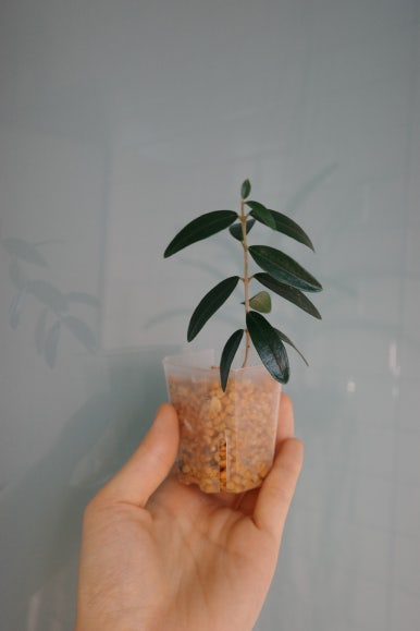 소일섬 이미지