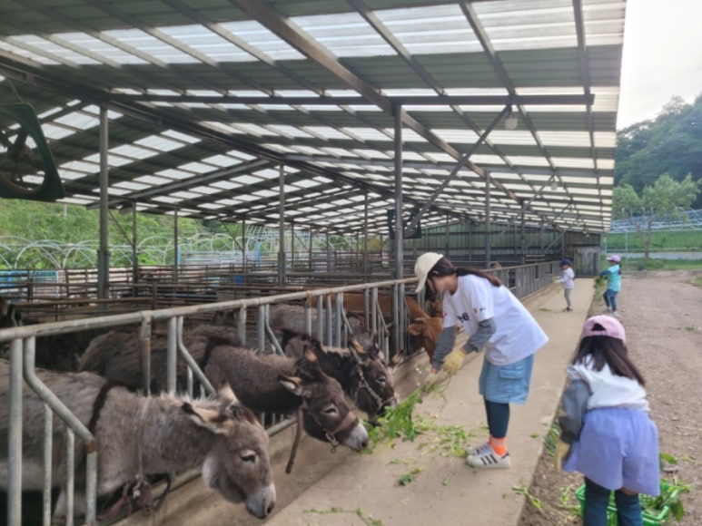 (주)풀내음 이미지