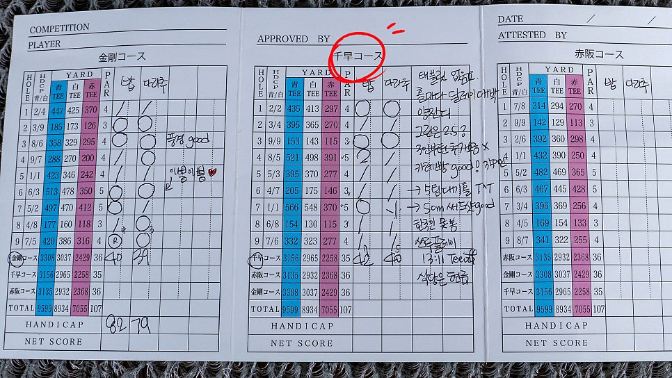 글로아 이미지