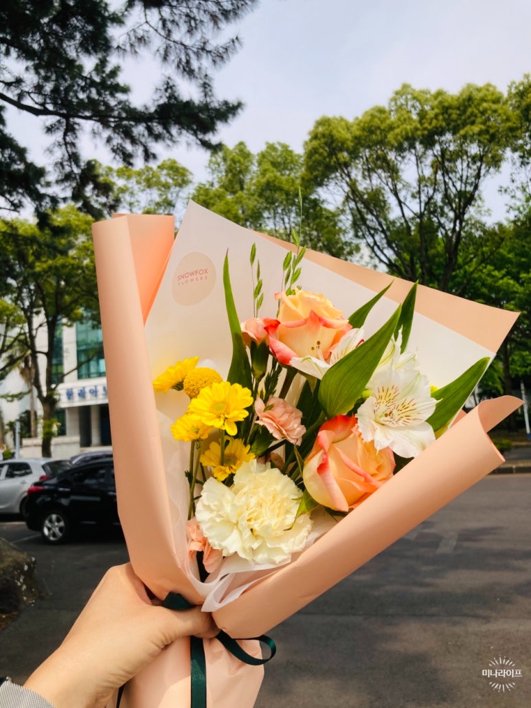 스노우폭스제주 이미지