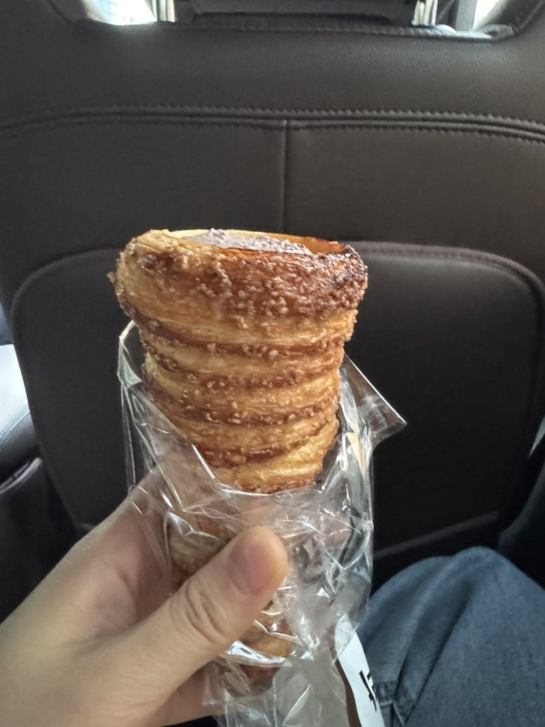 바우파이 이미지