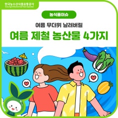 폭염 완벽 대비! 내 몸을 지켜줄 여름 제철 농산물 4총사 바로가기