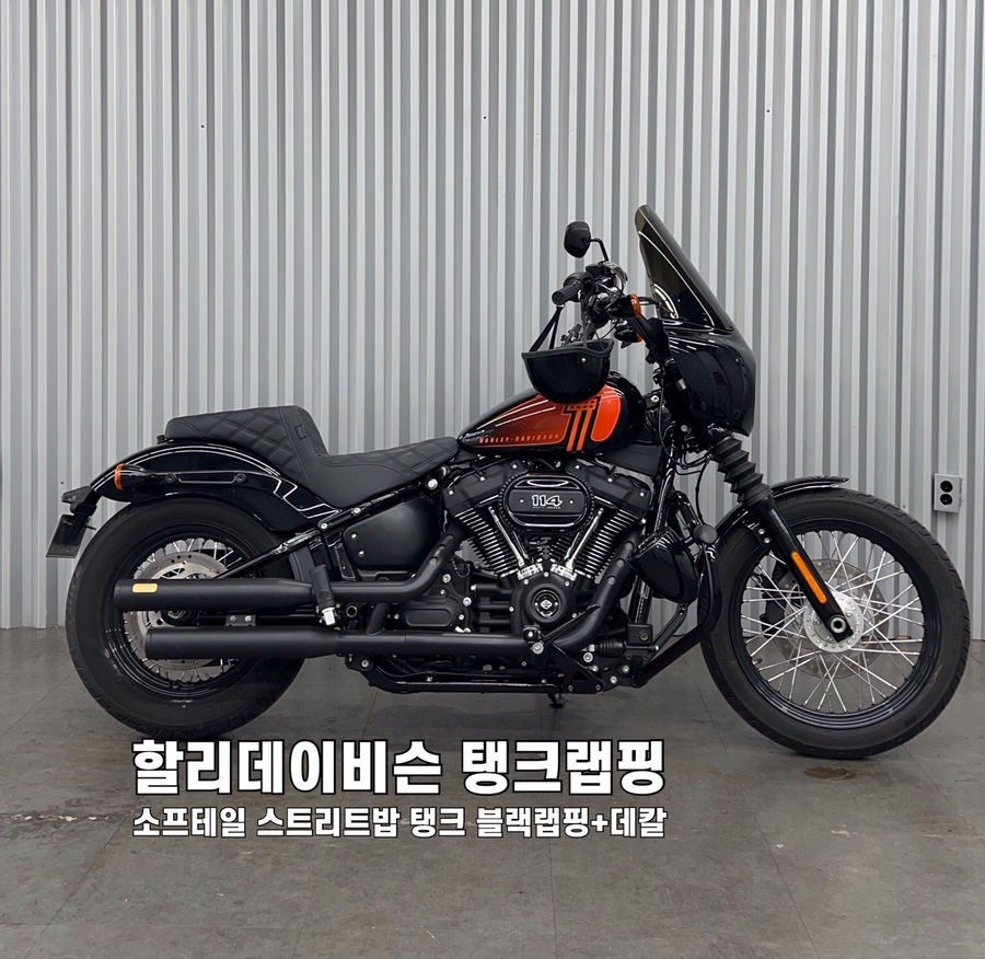 나인티게러지 이미지