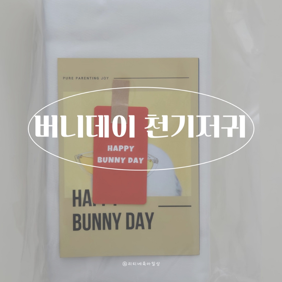 버니데이 이미지