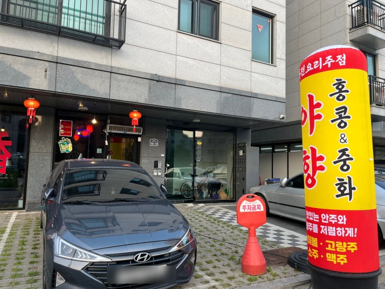 야향 이미지