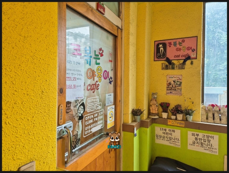 콩볶는야옹이 이미지