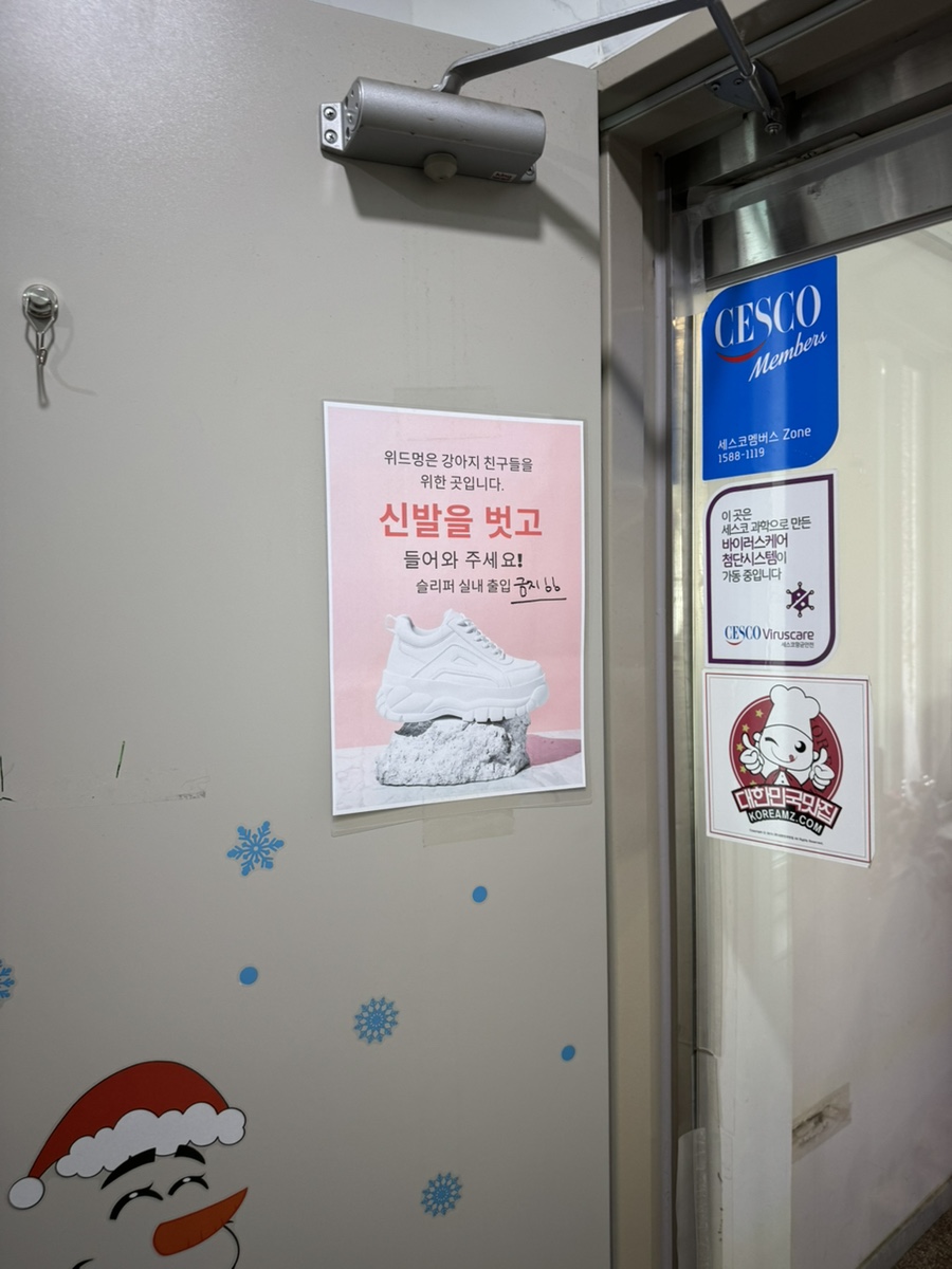 잠실 애견카페 위드멍, 루프탑 운동장 가격 정보 — 사진 8