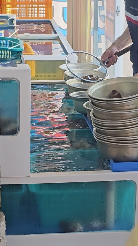 큰손조개구이칼국수 이미지