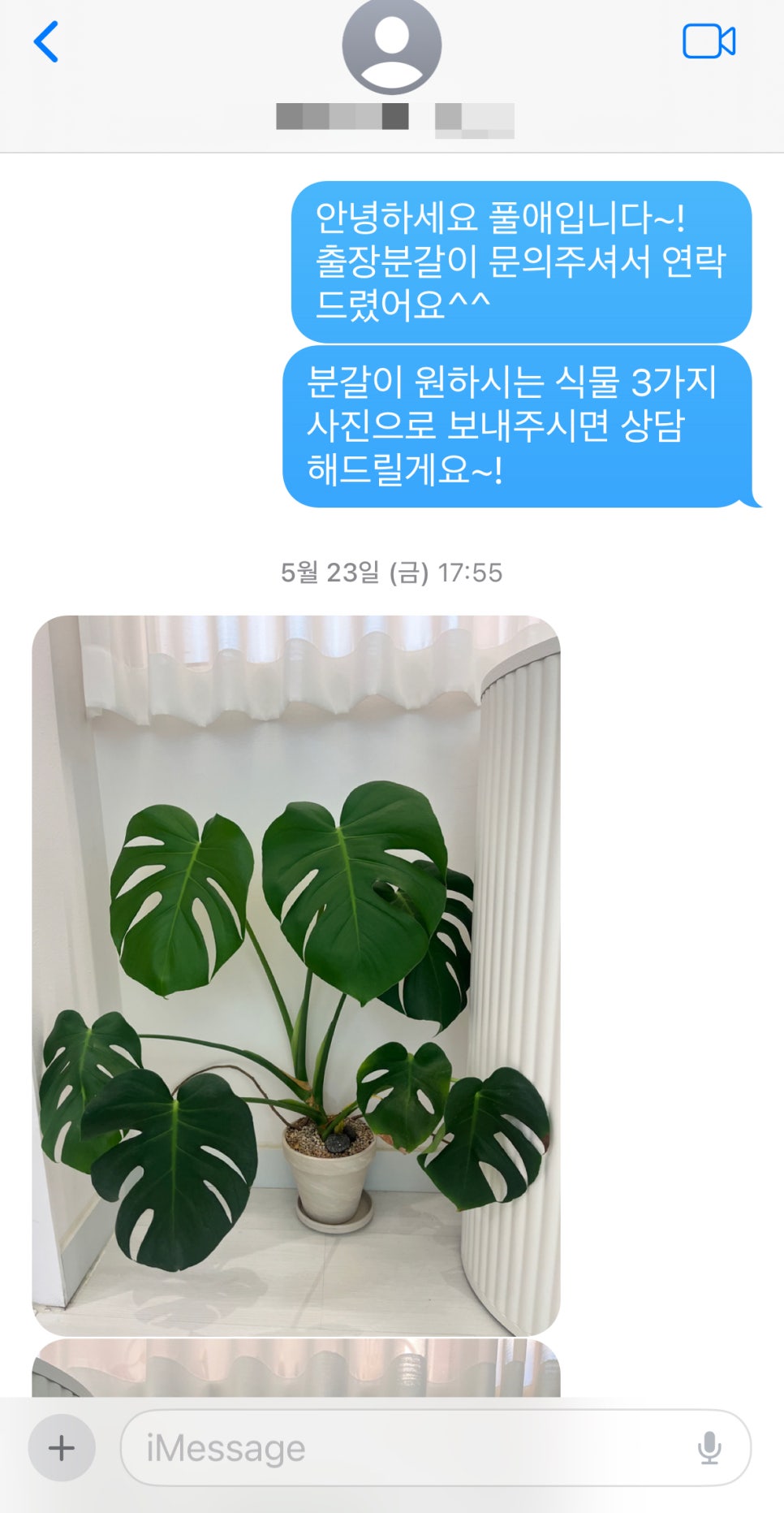 풀애 이미지
