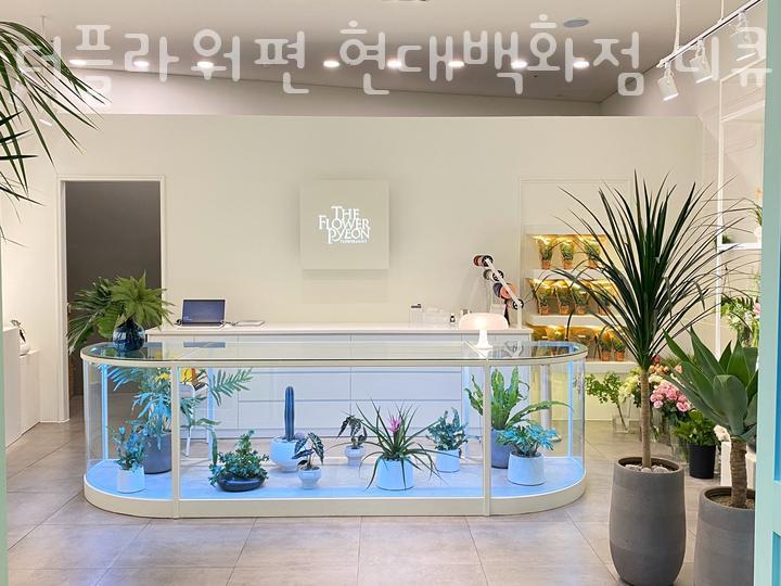 더플라워편 이미지