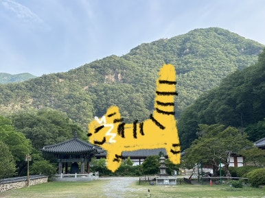 반야몰 이미지