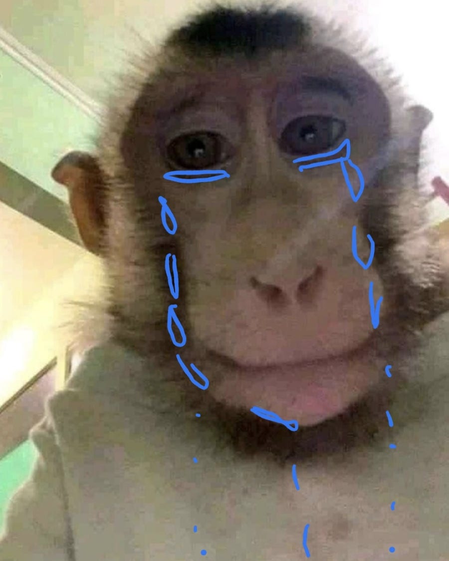 가자 이미지