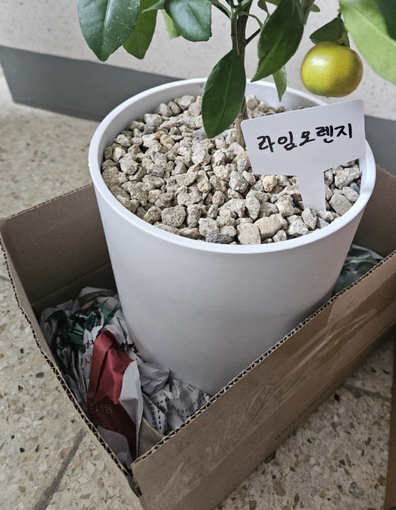초록나라식물원 이미지