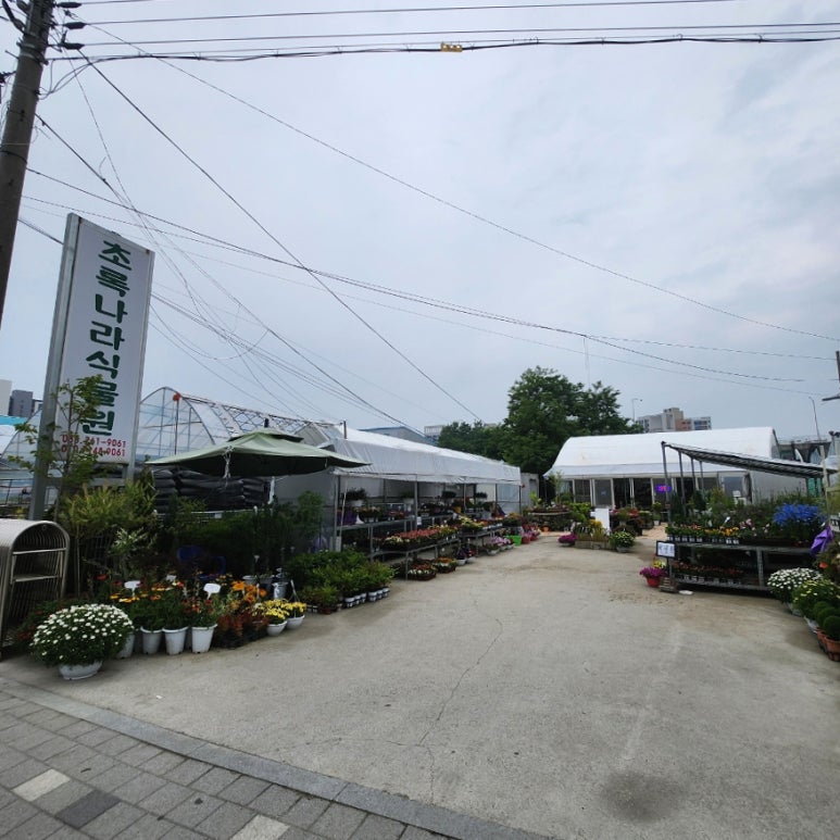 초록나라식물원 이미지