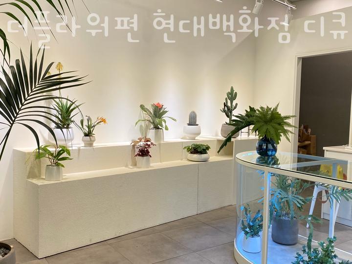 더플라워편 이미지