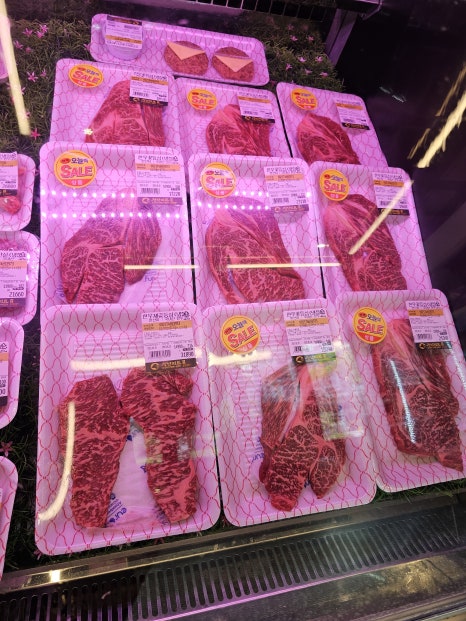 예산미트 이미지