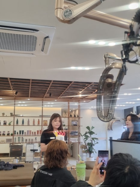 단빔 이미지