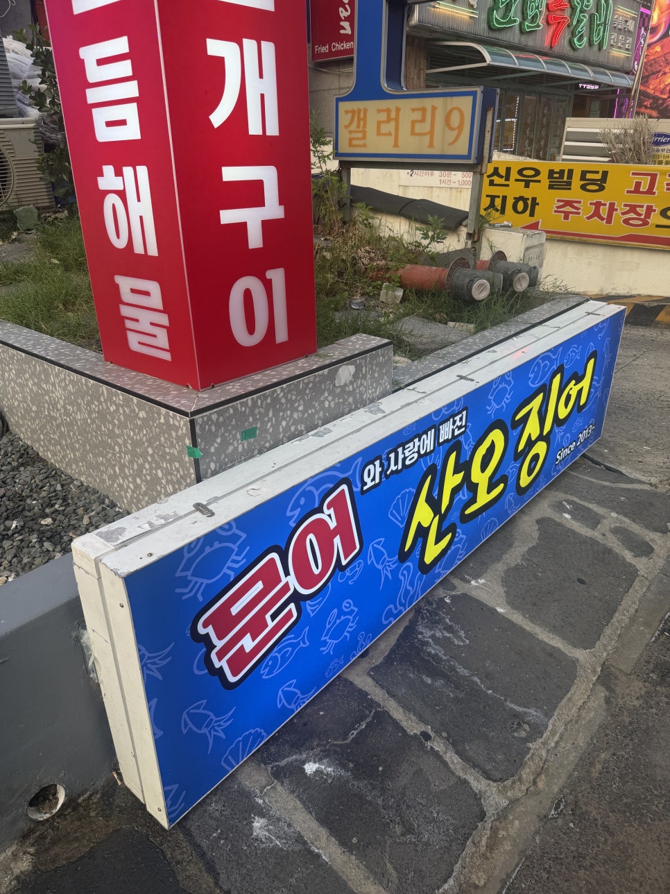 문어와산오징어 이미지