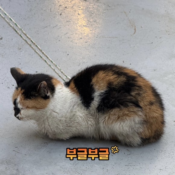운천갤러리 이미지