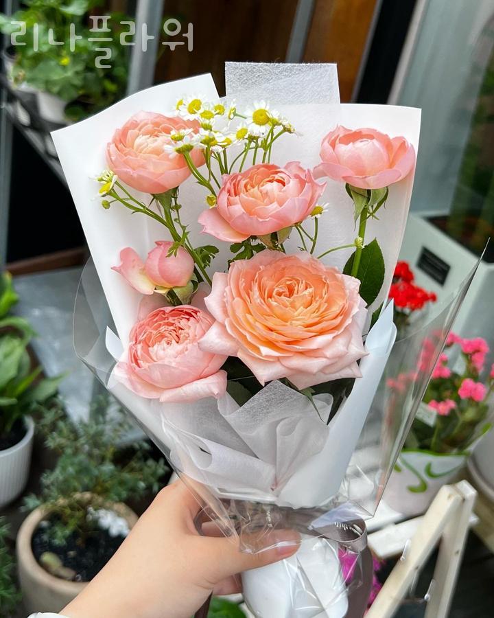 리나플라워 이미지
