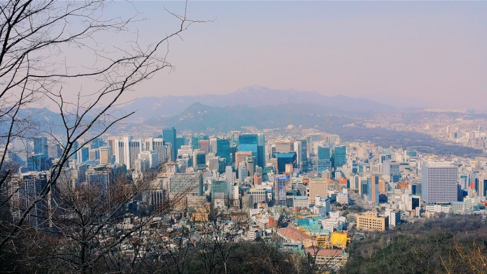 대지농산물 이미지