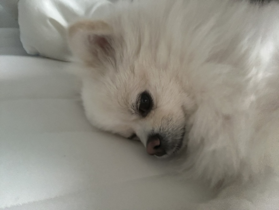 이김 이미지