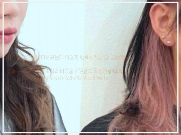 살롱드한 이미지