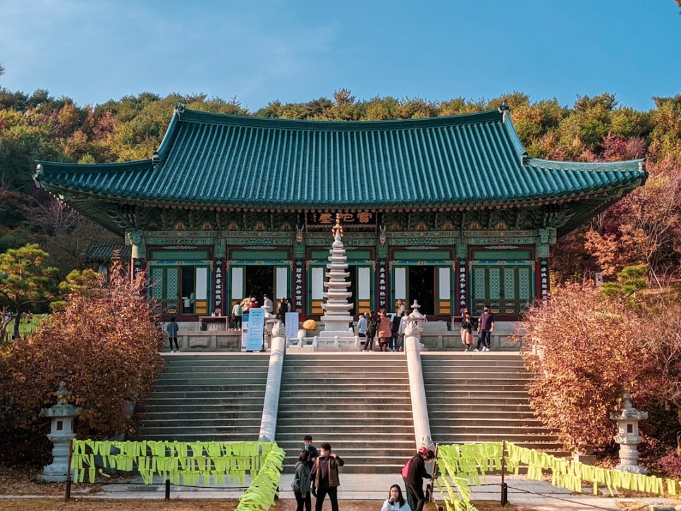 대지농산물 이미지