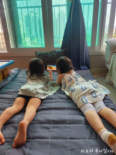 대발관 이미지