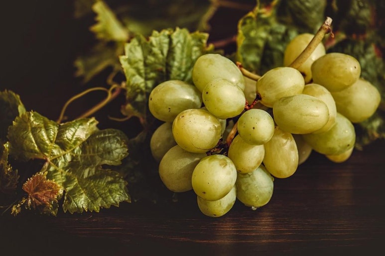 복덩이순대국 이미지