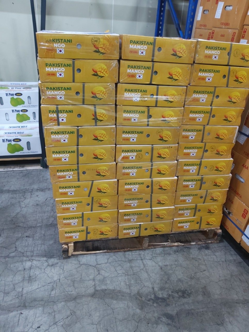 주식회사 파란나라 이미지