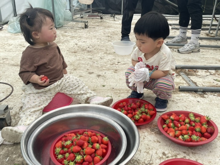 신흥짜장 이미지