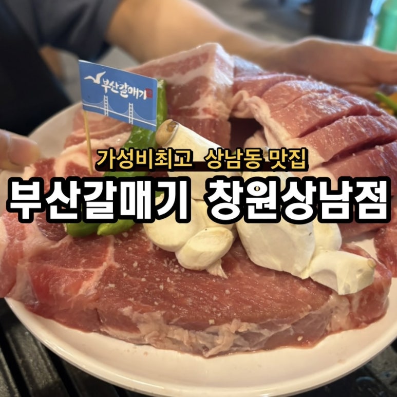 부산갈매기창원상남점 이미지