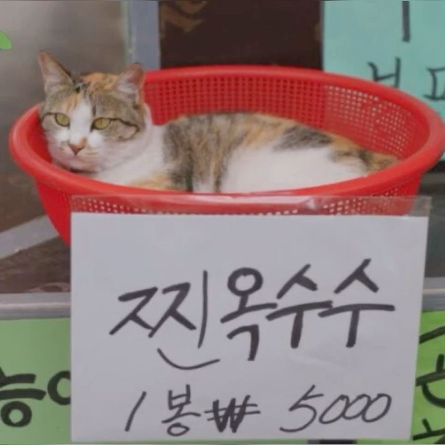 원조닭한마리 이미지