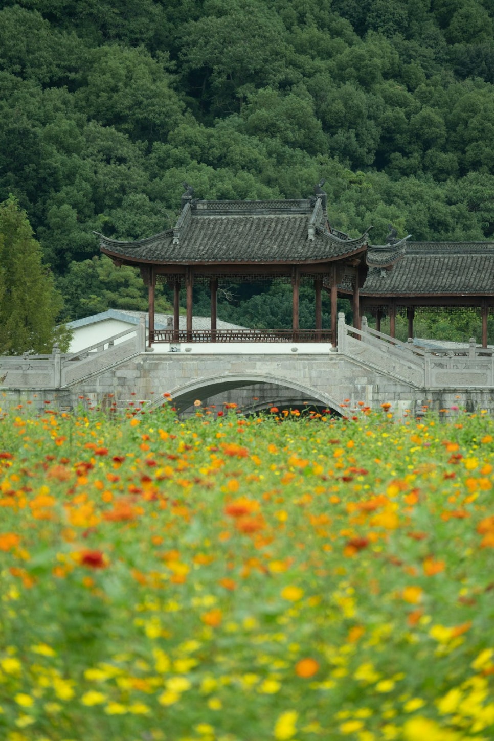 영덕특산물 이미지