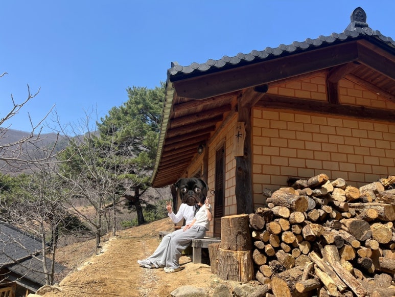 백년전에 이미지
