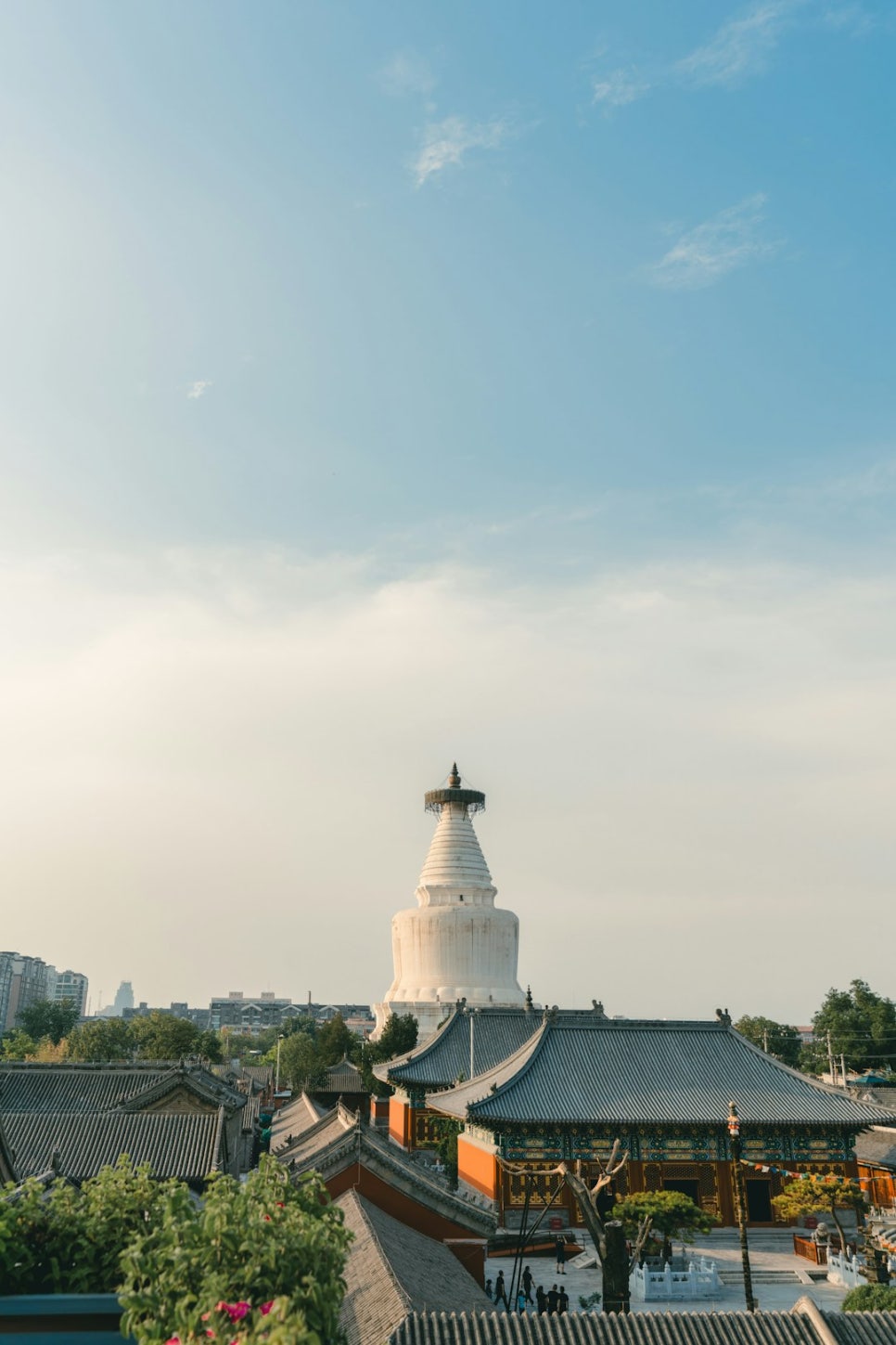 영덕특산물 이미지
