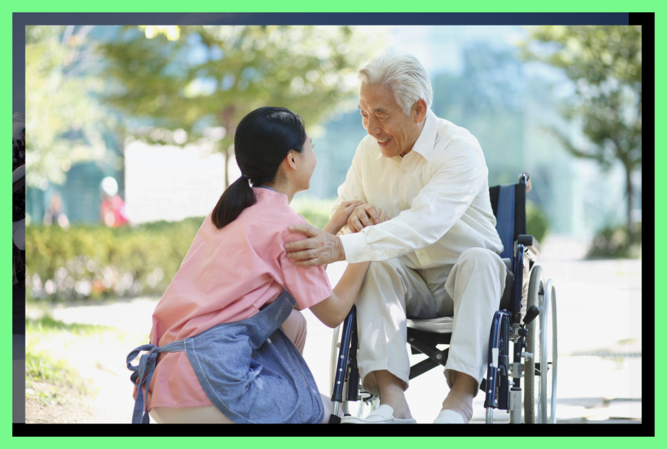 자주고름 이미지