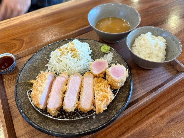 카츠닉 이미지