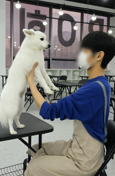 동탄 애견미용학원: 가정견 실습으로 실무 역량 강화 — 사진 3
