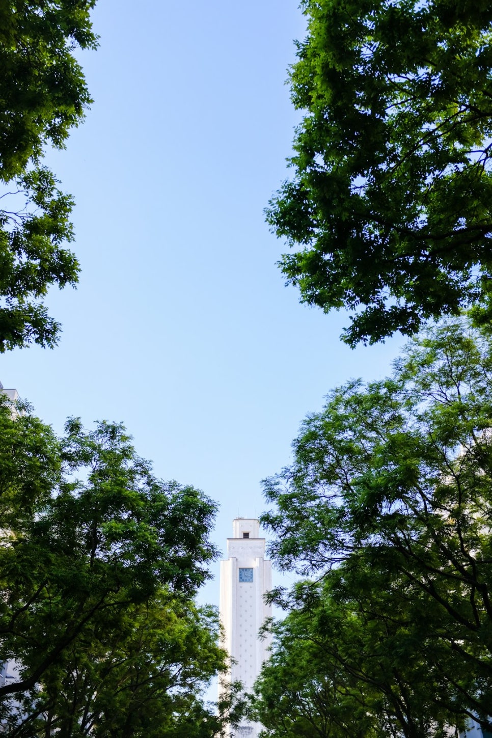 영덕특산물 이미지