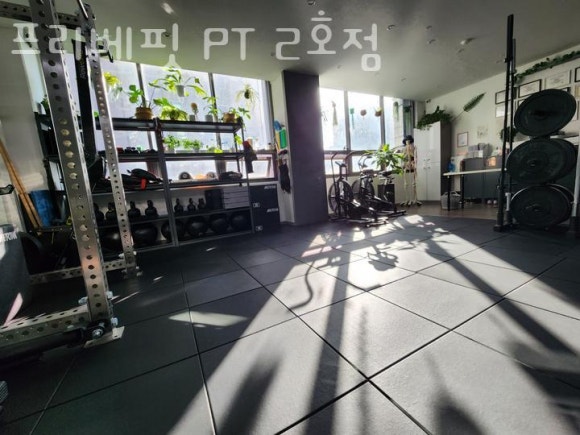 프리베핏 이미지