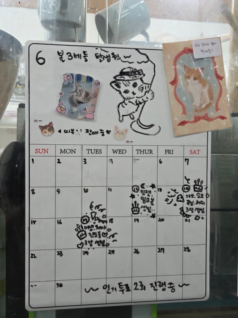 냥다방 이미지